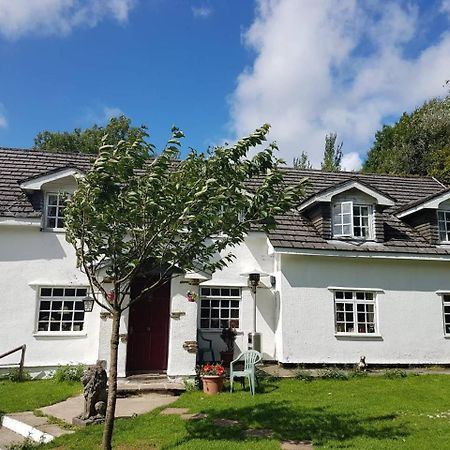 Coynant Farm Guesthouse - Farm Park Stay Swansea Exterior photo