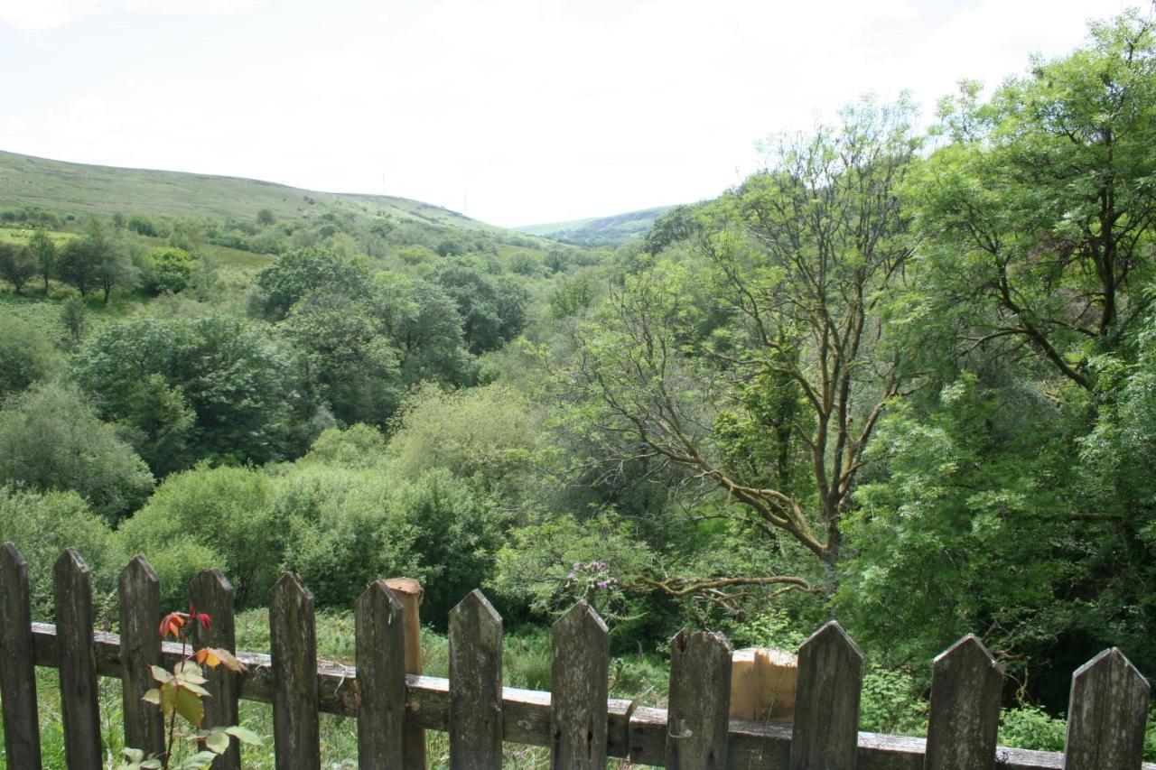 Coynant Farm Guesthouse - Farm Park Stay Swansea Exterior photo