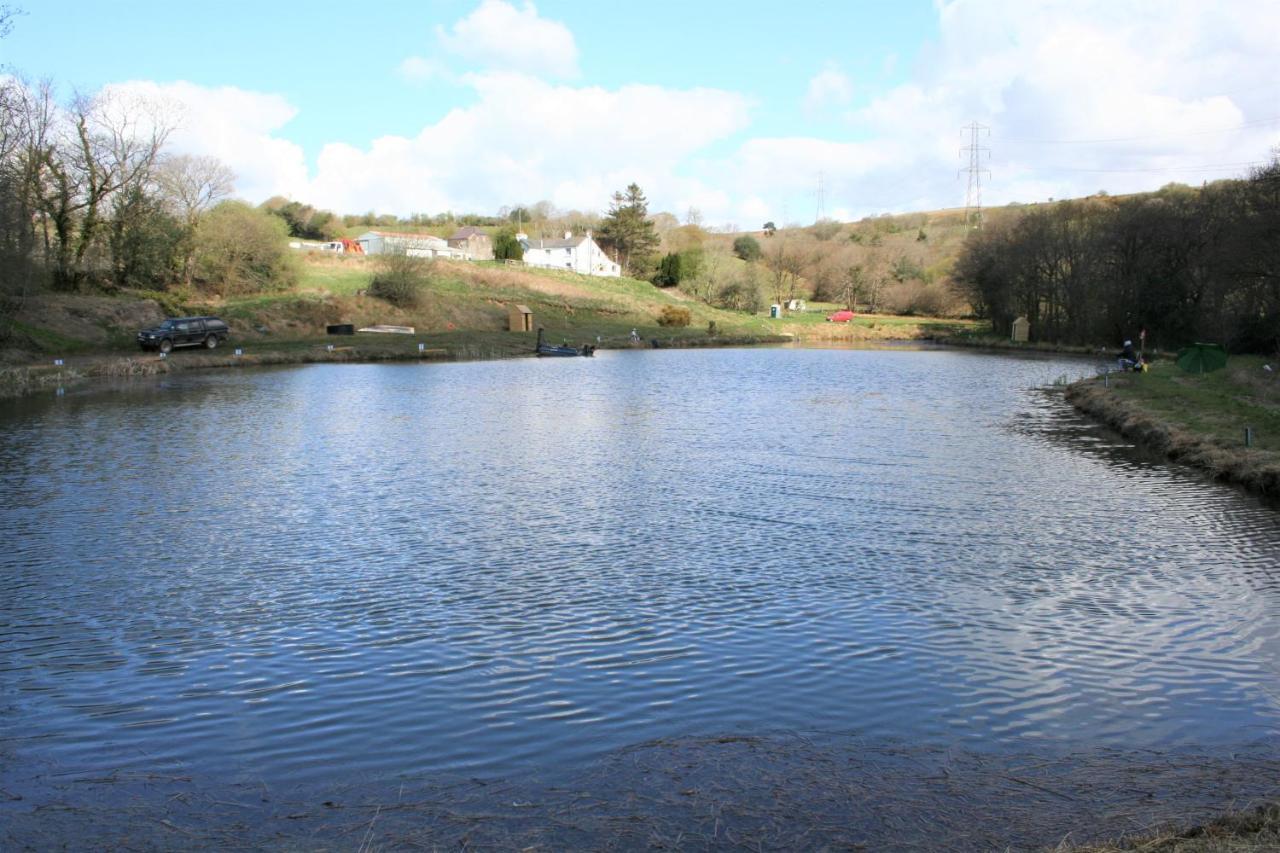 Coynant Farm Guesthouse - Farm Park Stay Swansea Exterior photo